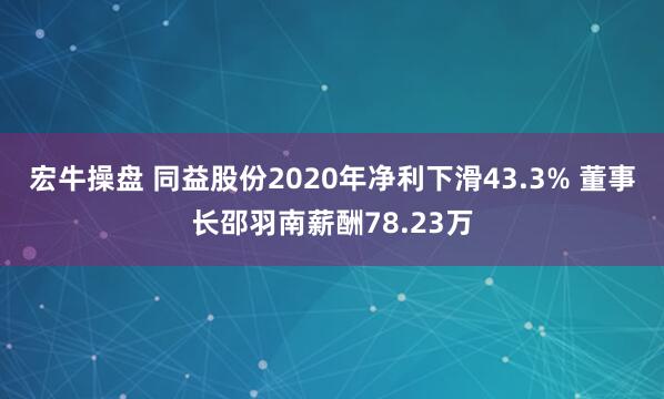 宏牛操盘 同益股份2020年净利下滑43.3% 董事长邵羽南薪酬78.23万