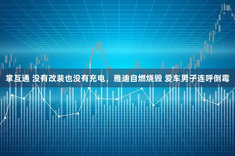掌互通 没有改装也没有充电，雅迪自燃烧毁 爱车男子连呼倒霉